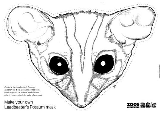 Image of make your own Leadbeater's Possum mask