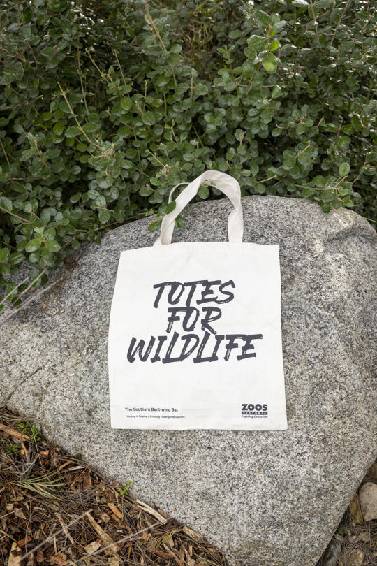 Totes for Wildlife, Southern Bent-wing Bat.  Image of front and back designs.