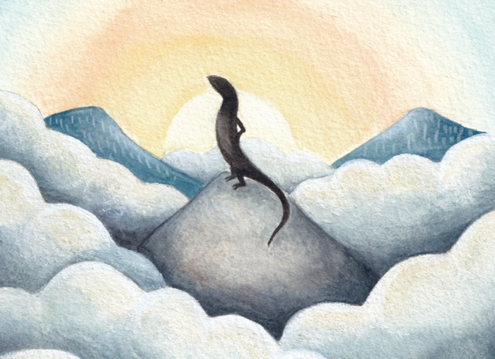 illustration of Alpine She-oak Skink