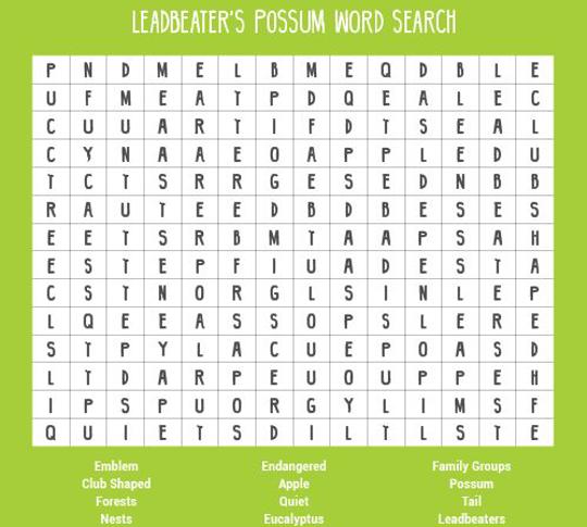 image of Leadbeater's possum word search