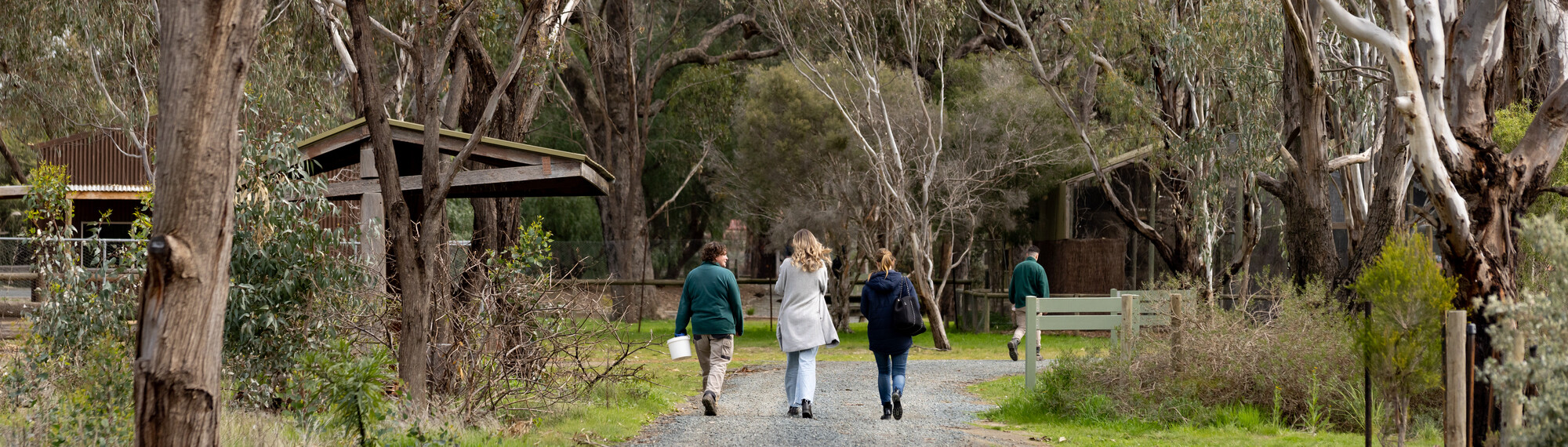 Guests Walking With Keeper Along Trail At Kyabram Fauna Park 