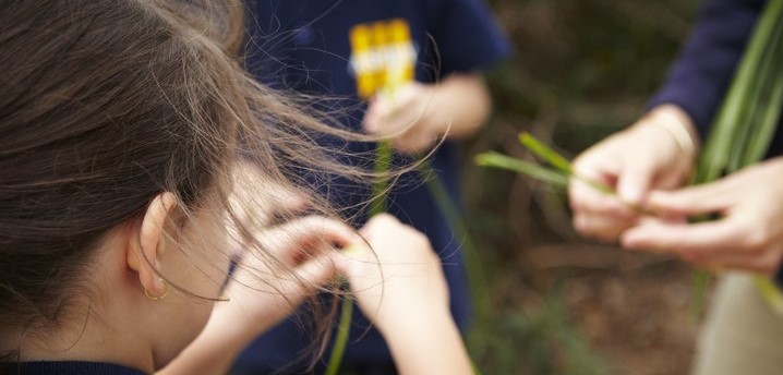 Rear view of a female student's hands holding long blades of grass, seen from her right.