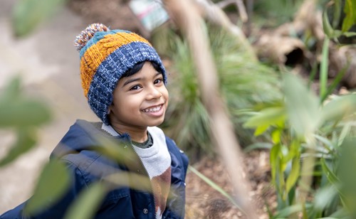 A boy Looking At A Bird