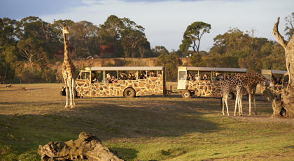 Zoos Victoria