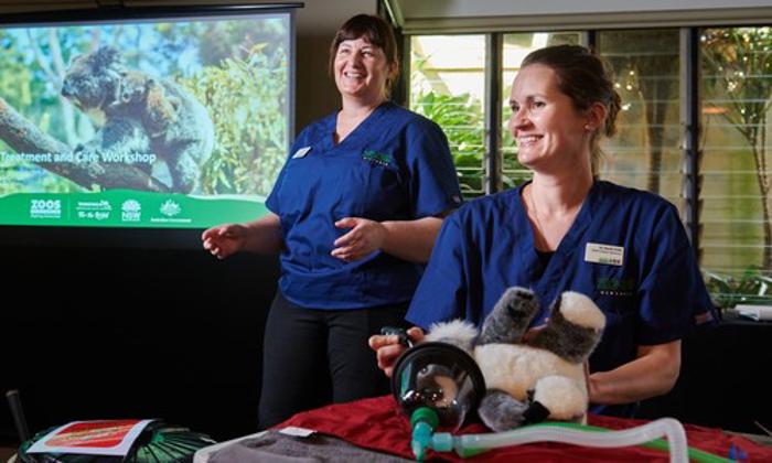 Two female vets standing in front of a digital presentation with a koala plush on a table in front of them